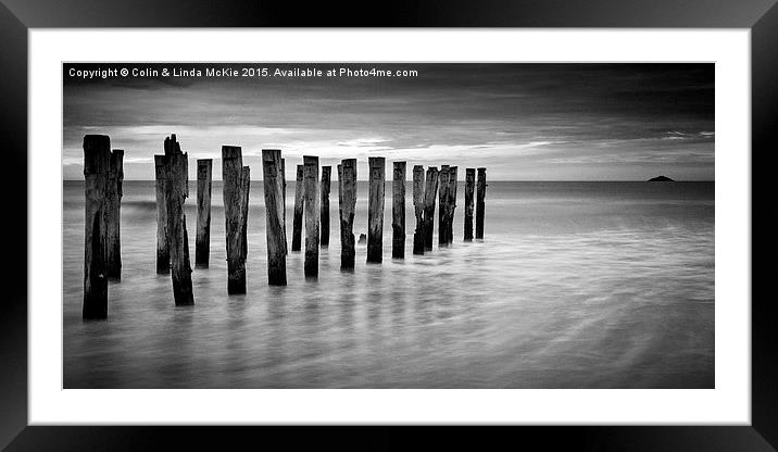 Old Jetty Pilings Dunedin New Zealand Framed Mounted Print by Colin & Linda McKie