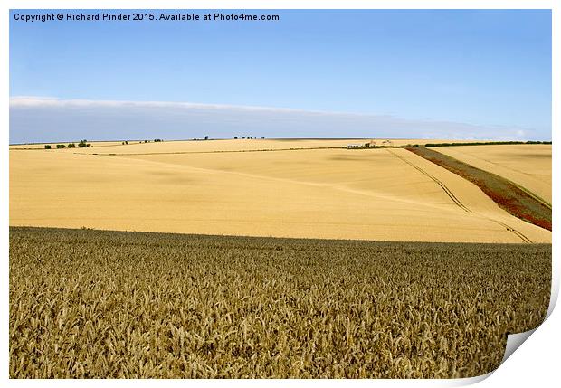  Yorkshire Wolds at Harvest Time Print by Richard Pinder