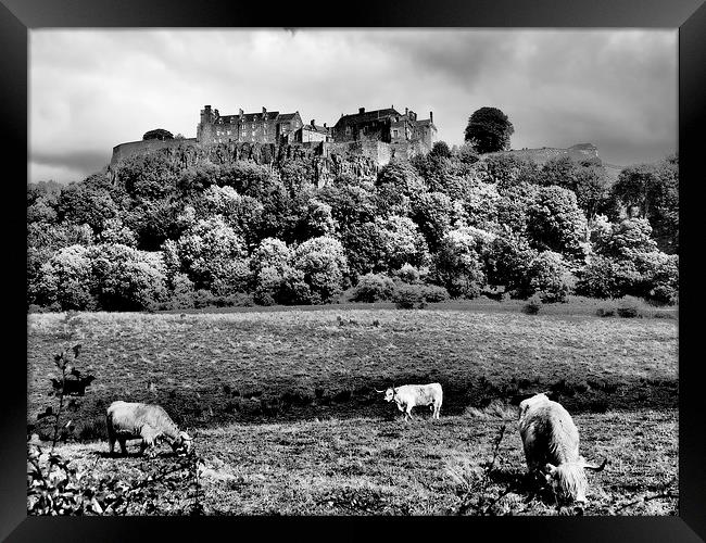  Stirling Castle, Scotland. Framed Print by Tommy Dickson