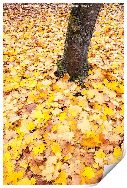 Autumn Leaves Print by Danny Callcut