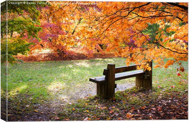 Autumn Bench Canvas Print by Danny Callcut