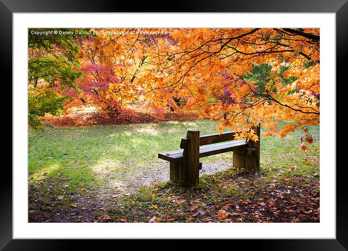 Autumn Bench Framed Mounted Print by Danny Callcut