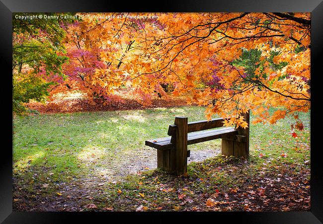 Autumn Bench Framed Print by Danny Callcut