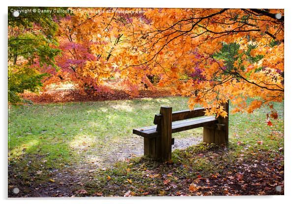 Autumn Bench Acrylic by Danny Callcut