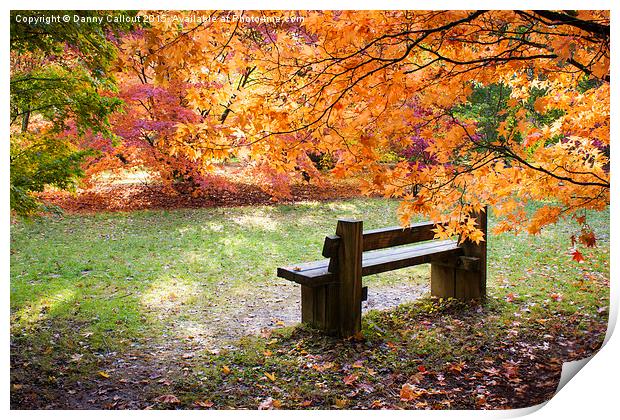 Autumn Bench Print by Danny Callcut
