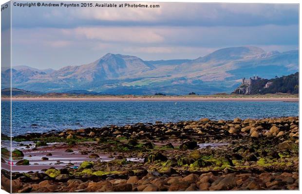 A View from Shell Island Canvas Print by Andrew Poynton