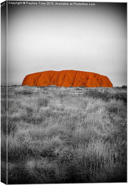 Red Centre, ULURU, Northern Territory, Australia Canvas Print by Pauline Tims