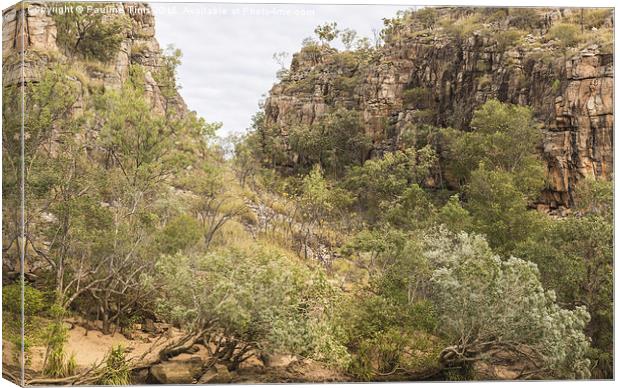  Katherine Gorge, Northern Territory, Australia Canvas Print by Pauline Tims
