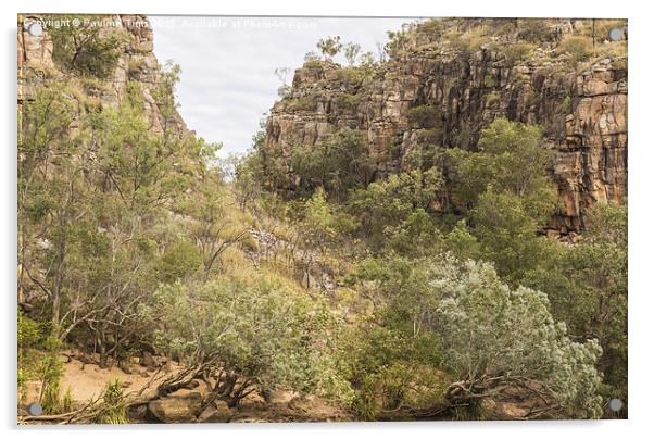  Katherine Gorge, Northern Territory, Australia Acrylic by Pauline Tims