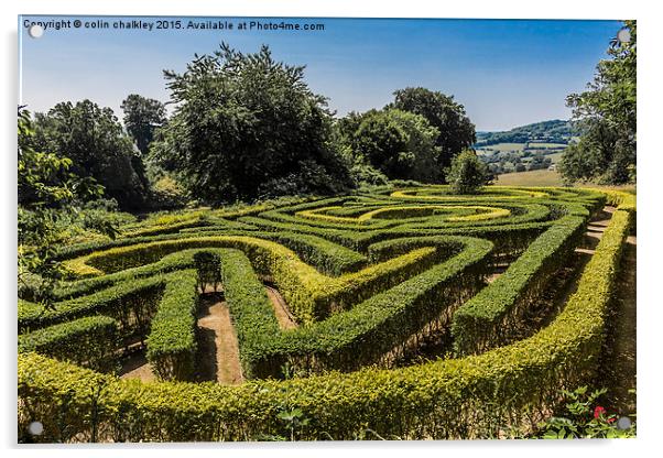  Painswick Rococo Garden Maze Acrylic by colin chalkley
