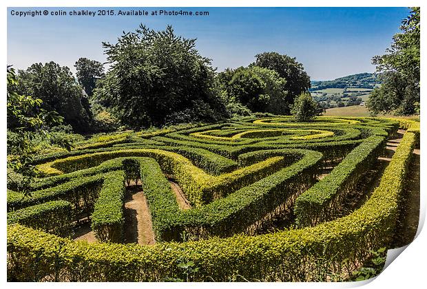  Painswick Rococo Garden Maze Print by colin chalkley