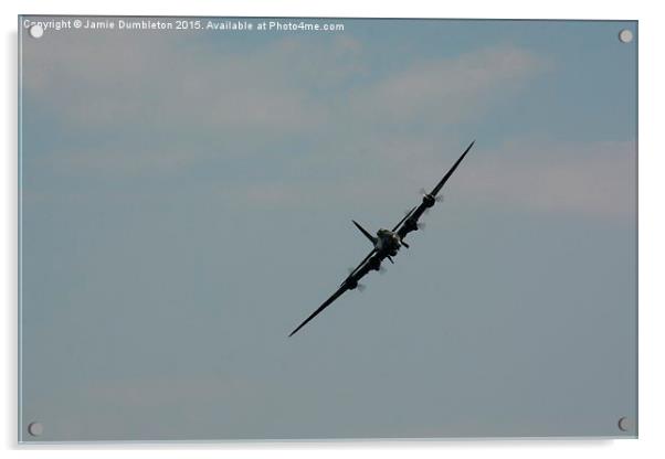  The Sally B Acrylic by Jamie Dumbleton