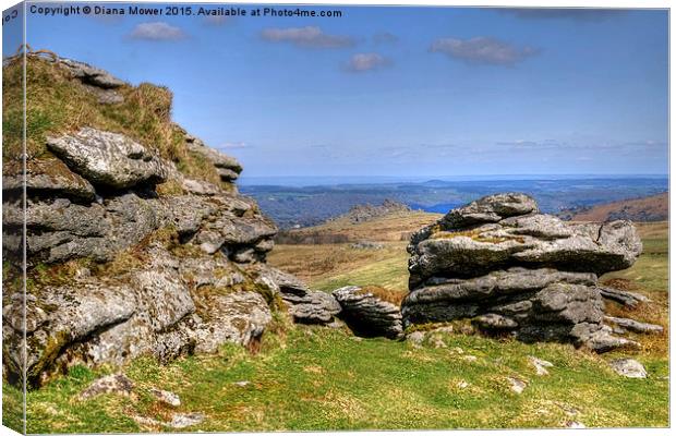  Hound Tor From Chinkwell Tor Canvas Print by Diana Mower