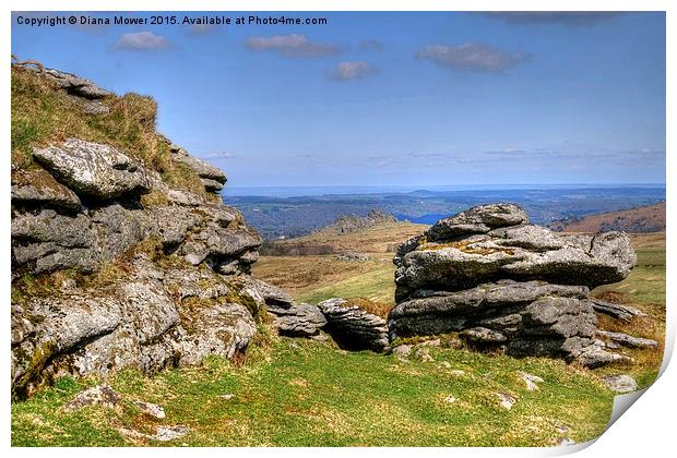  Hound Tor From Chinkwell Tor Print by Diana Mower