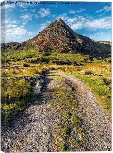 Tryfan Mountain Track  Canvas Print by Adrian Evans