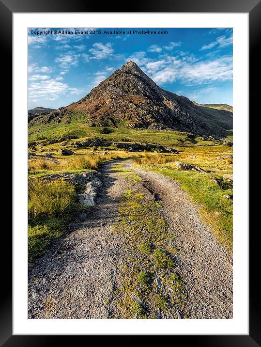 Tryfan Mountain Track  Framed Mounted Print by Adrian Evans