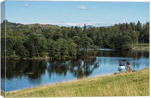  Peaceful Tarn Hows, Lake District Canvas Print by Phil Sproson