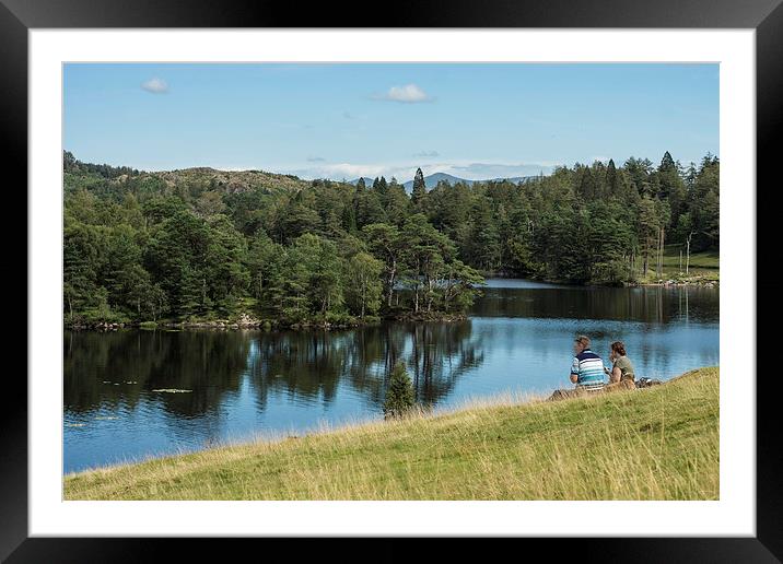  Peaceful Tarn Hows, Lake District Framed Mounted Print by Phil Sproson