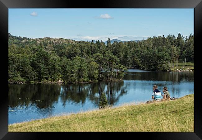  Peaceful Tarn Hows, Lake District Framed Print by Phil Sproson