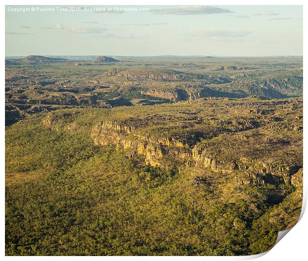  Arnhem Land an Ariel View 3 Print by Pauline Tims