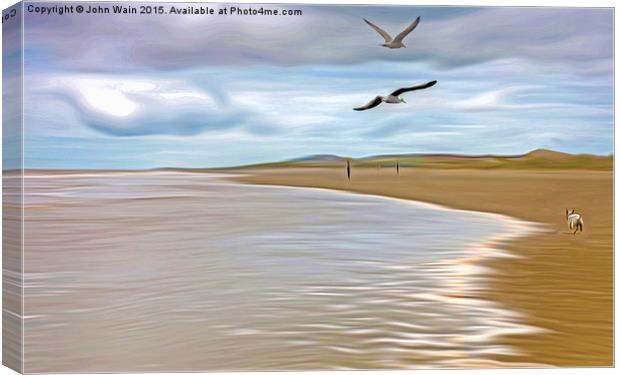 Run In the tide Canvas Print by John Wain