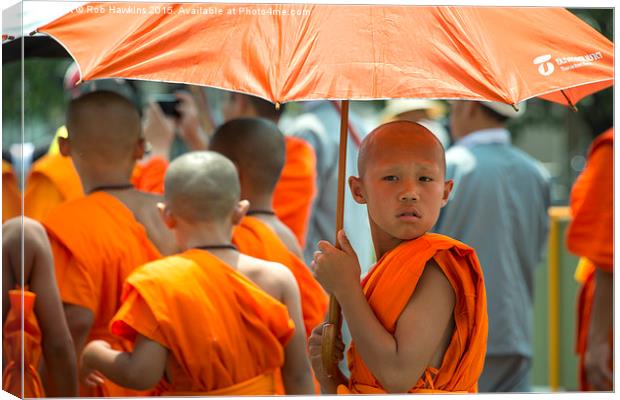  The Young Monk  Canvas Print by Rob Hawkins