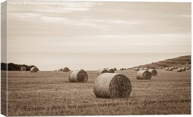 The Bales at St Aldhelm Canvas Print by Stewart Nicolaou
