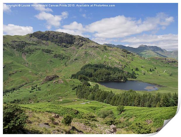 Blea Tarn, and Wrynose Fell from Lingmoor Fell, La Print by Louise Heusinkveld