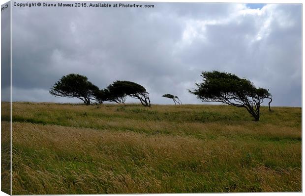  Brean Down   Canvas Print by Diana Mower