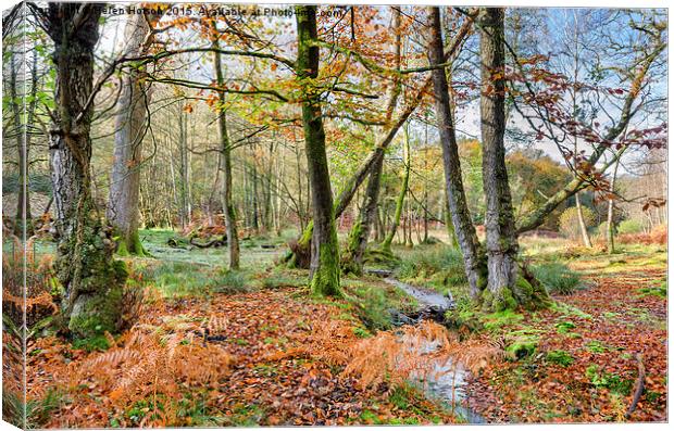 Forest Stream in Autumn Canvas Print by Helen Hotson