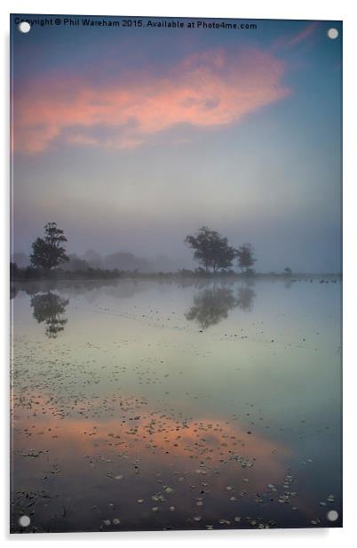 Whitten Pond Burley Acrylic by Phil Wareham