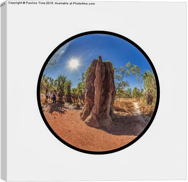 Magnetic Termite Mound, Litchfield National Park  Canvas Print by Pauline Tims