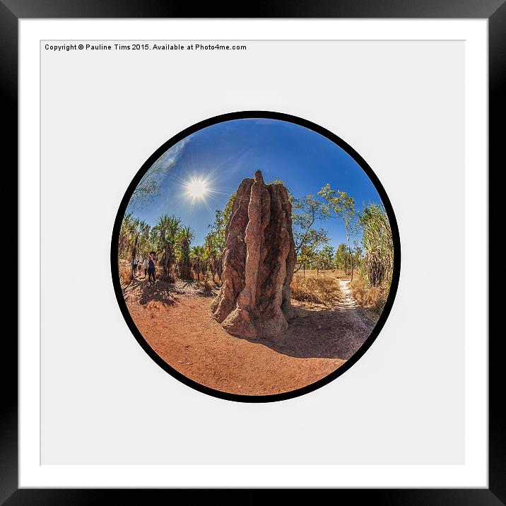 Magnetic Termite Mound, Litchfield National Park  Framed Mounted Print by Pauline Tims