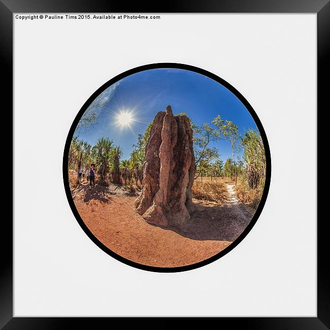 Magnetic Termite Mound, Litchfield National Park  Framed Print by Pauline Tims