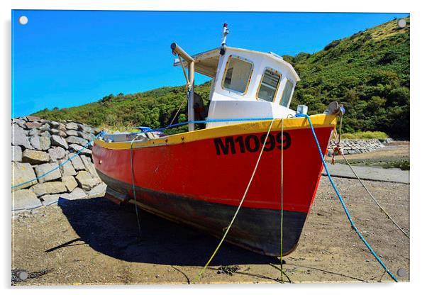  Fishing boat lies at anchor Acrylic by Frank Irwin