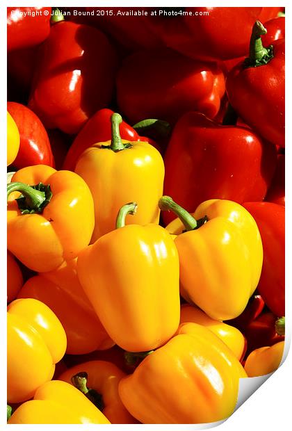 Peppers of Thailand Print by Julian Bound