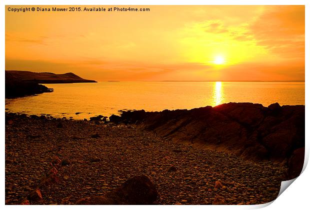  Sand Point Sunset Print by Diana Mower