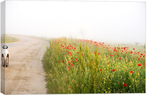 Poppy flower guarding the road Canvas Print by Adrian Bud