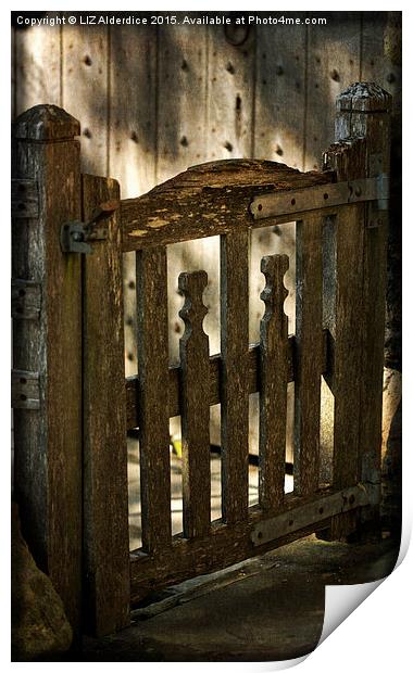  Wooden Gate Print by LIZ Alderdice