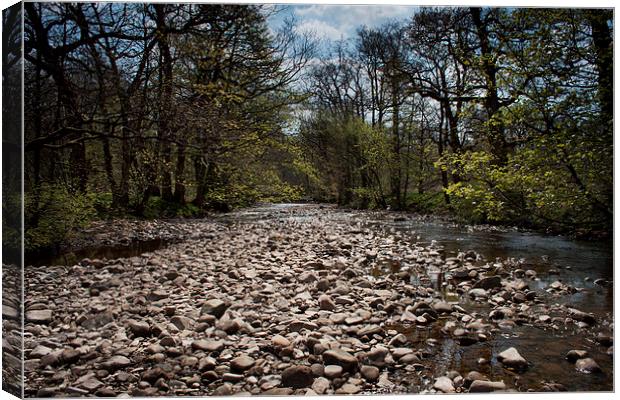  Wyre Riverbed Canvas Print by David McCulloch