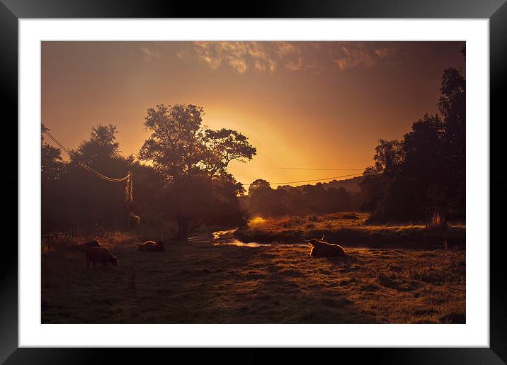 Rural scene Kent Framed Mounted Print by Dawn Cox