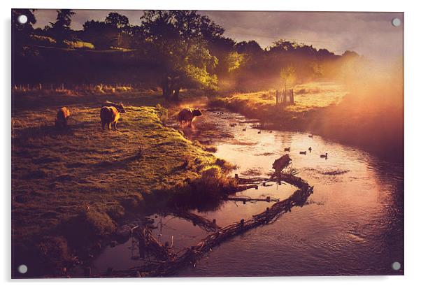 Morning Sunrise at Eynsford, Kent  Acrylic by Dawn Cox