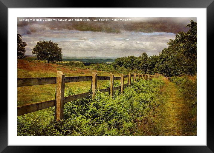  A Path From A Hill Framed Mounted Print by Linsey Williams
