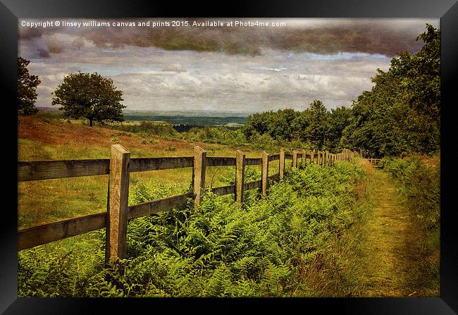  A Path From A Hill Framed Print by Linsey Williams