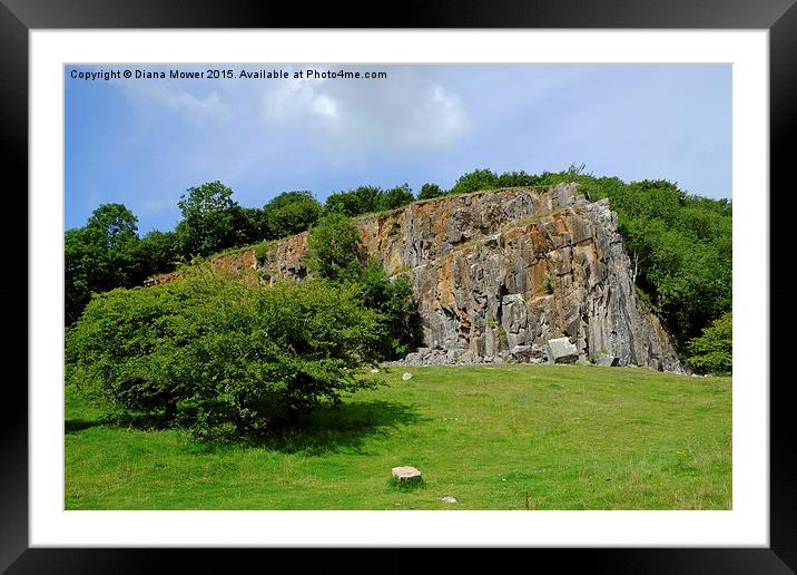  Black Rock Cheddar Framed Mounted Print by Diana Mower