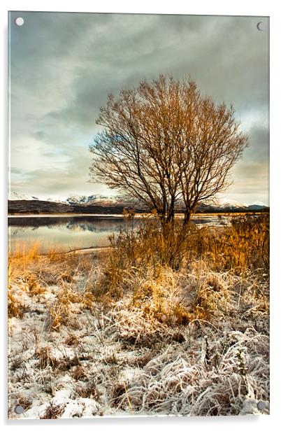 A Winters Day Acrylic by Jim kernan