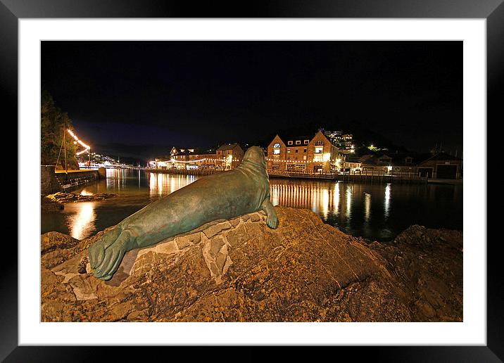 Nelson the seal at Looe Framed Mounted Print by Oxon Images