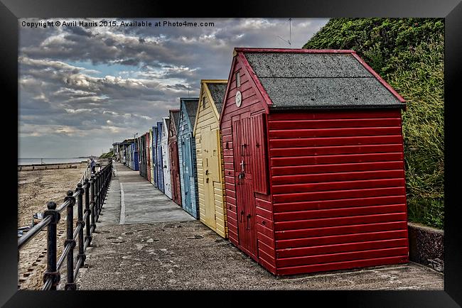  Colourful Beach Huts Framed Print by Avril Harris