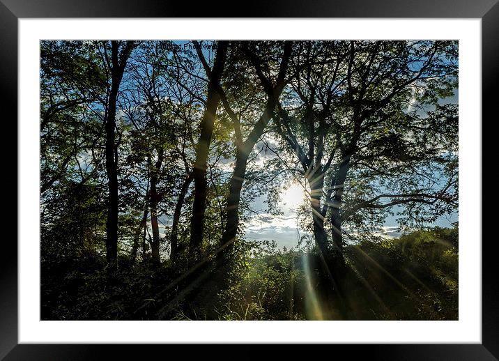  Let The Light Shine Framed Mounted Print by Sarah Ball