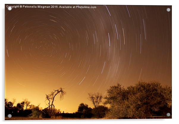  African star trails Acrylic by Petronella Wiegman